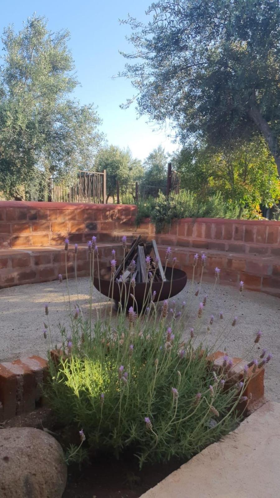 Estancia Los Amigos 瓜达鲁佩镇 外观 照片