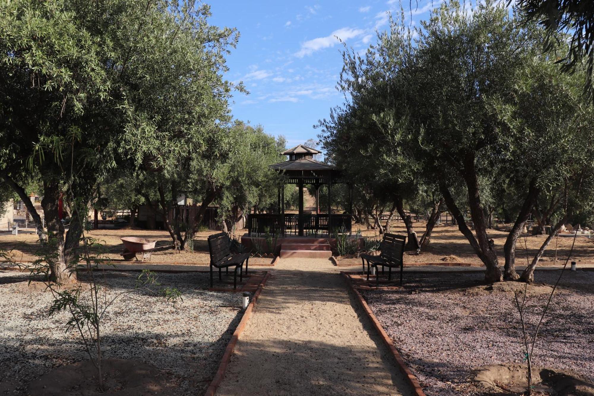 Estancia Los Amigos 瓜达鲁佩镇 外观 照片